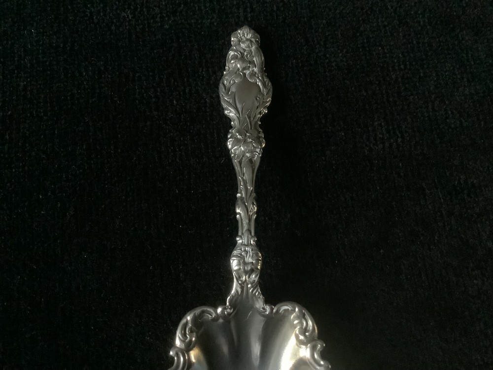 Whiting Division LILY almond scoop