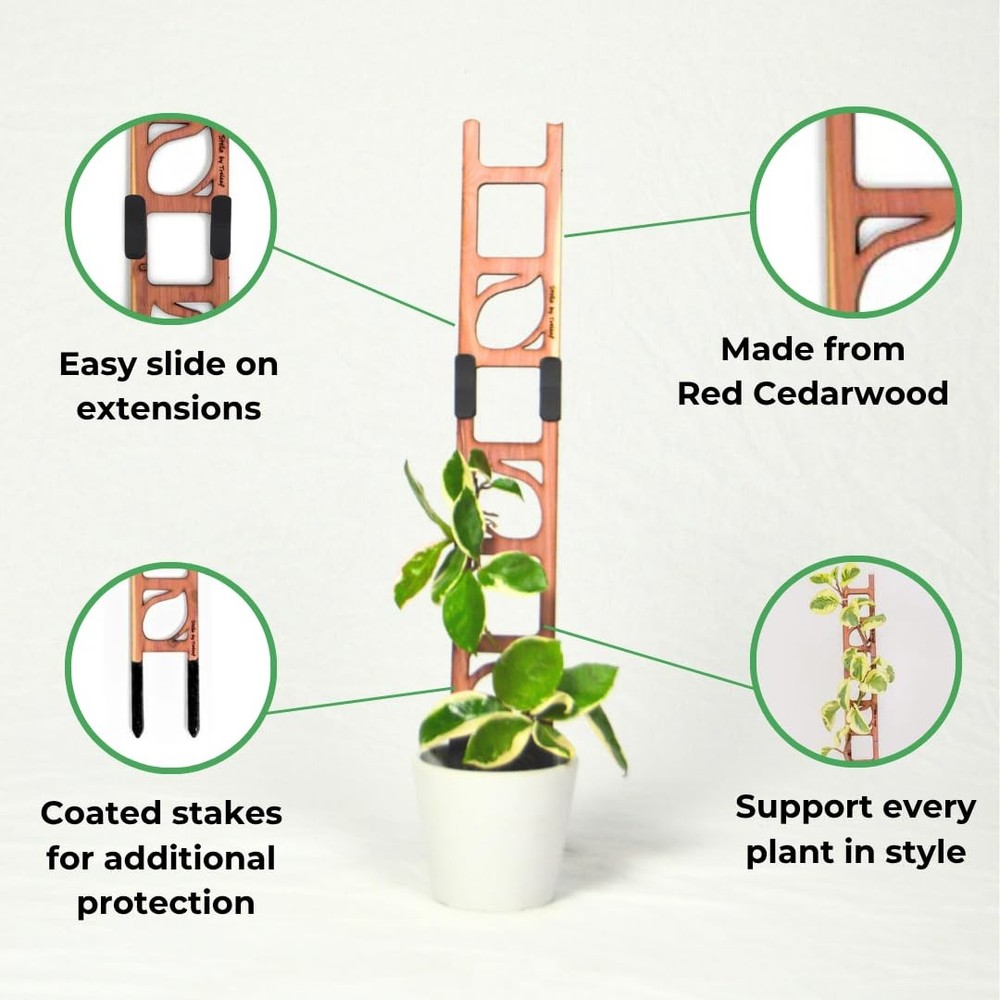 Treleaf Stella Extendable Ladder Trellis - Wooden Regular - Base Kit, Red