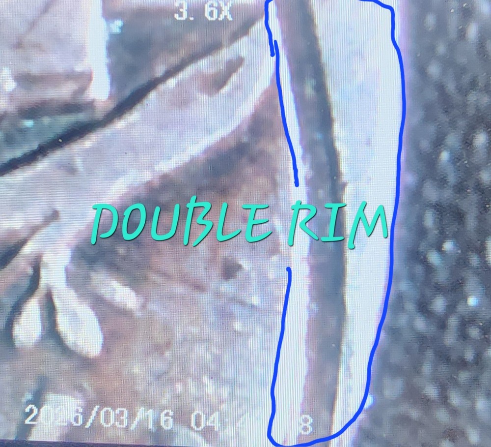 1941 ERROR MERCURY SILVER DIME 10C MULTIPLE DOUBLED STIKES & DOUBLED DIES