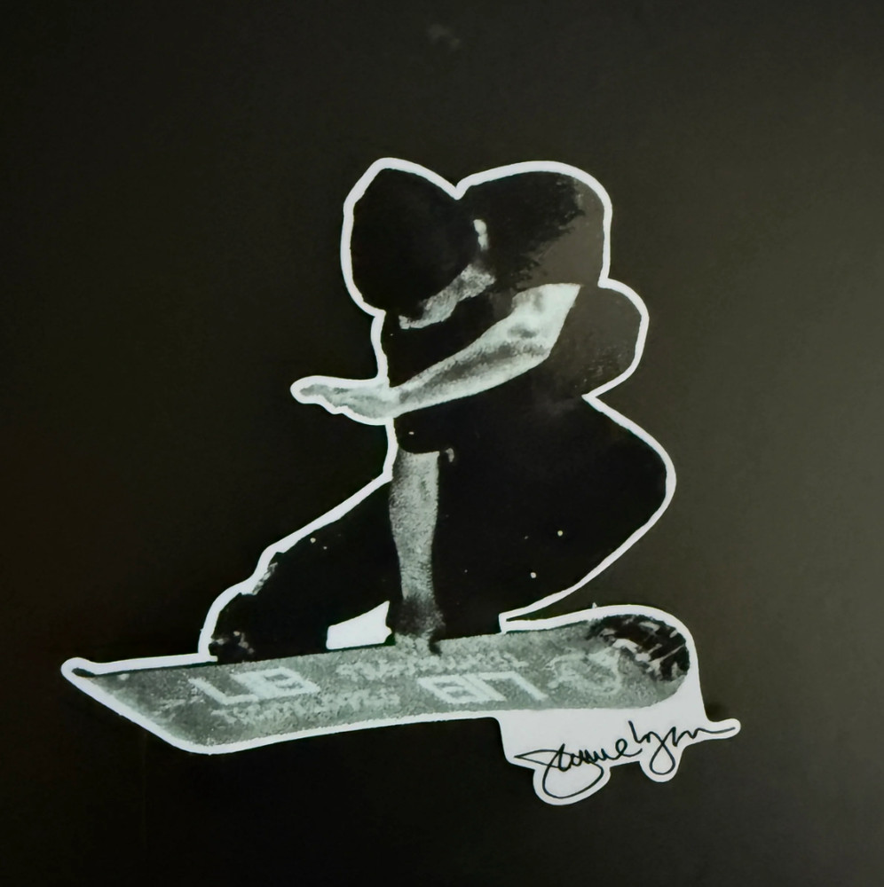 SNOWBOARDING STICKERS - featuring JAMIE - TERJE... ( Burton Snowboard Libtech
