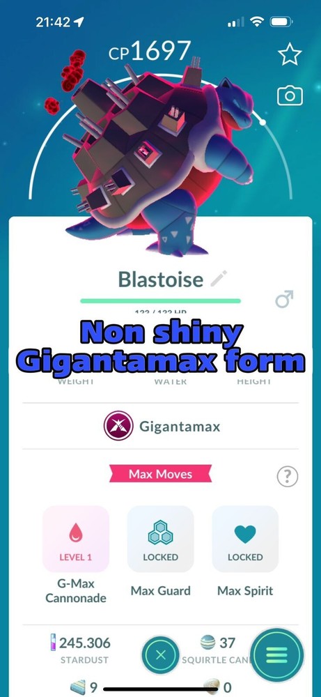 Non Shiny Blastoise Giga max - Tr-de 20k stardust