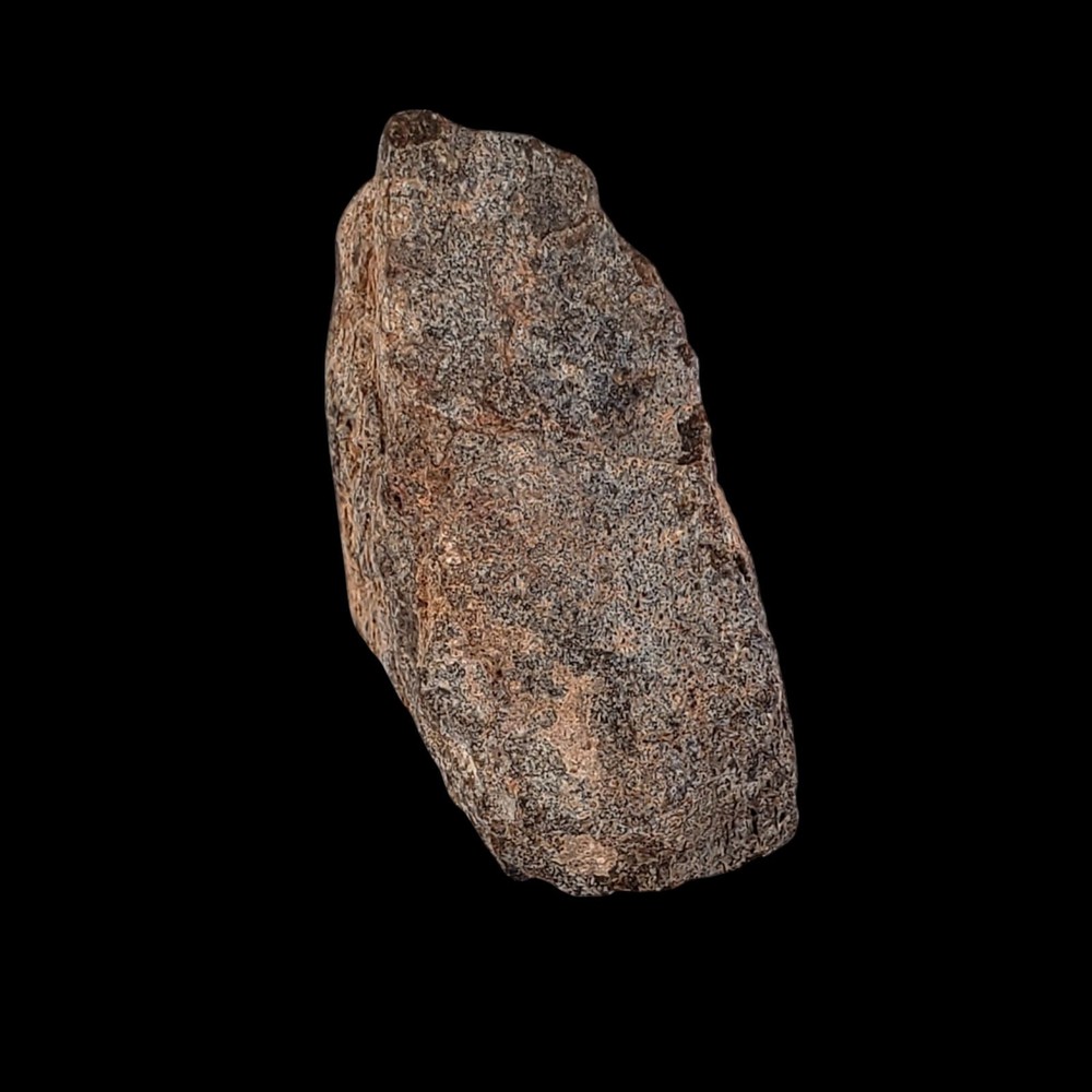 Jurassic Dinosaur Fossil Bone from Morrison Formation Includes Display