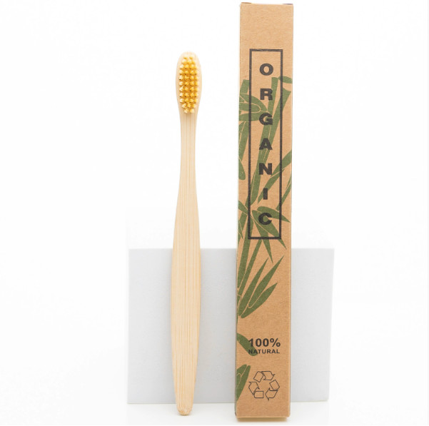 Disposable bamboo toothbrush with soft and hard bristles