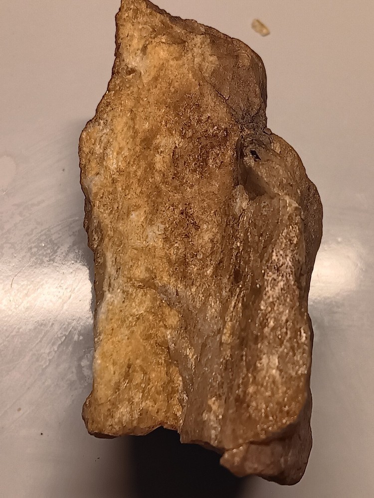 Nevada Gold Ore Sample (112  Grams Total)
