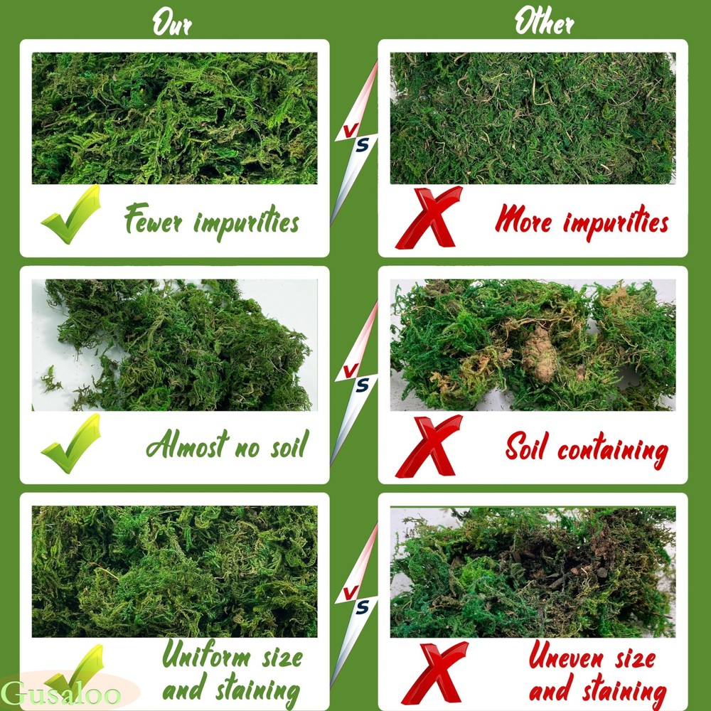 Green Moss for Crafts Artificial Decorative Potted 100g,