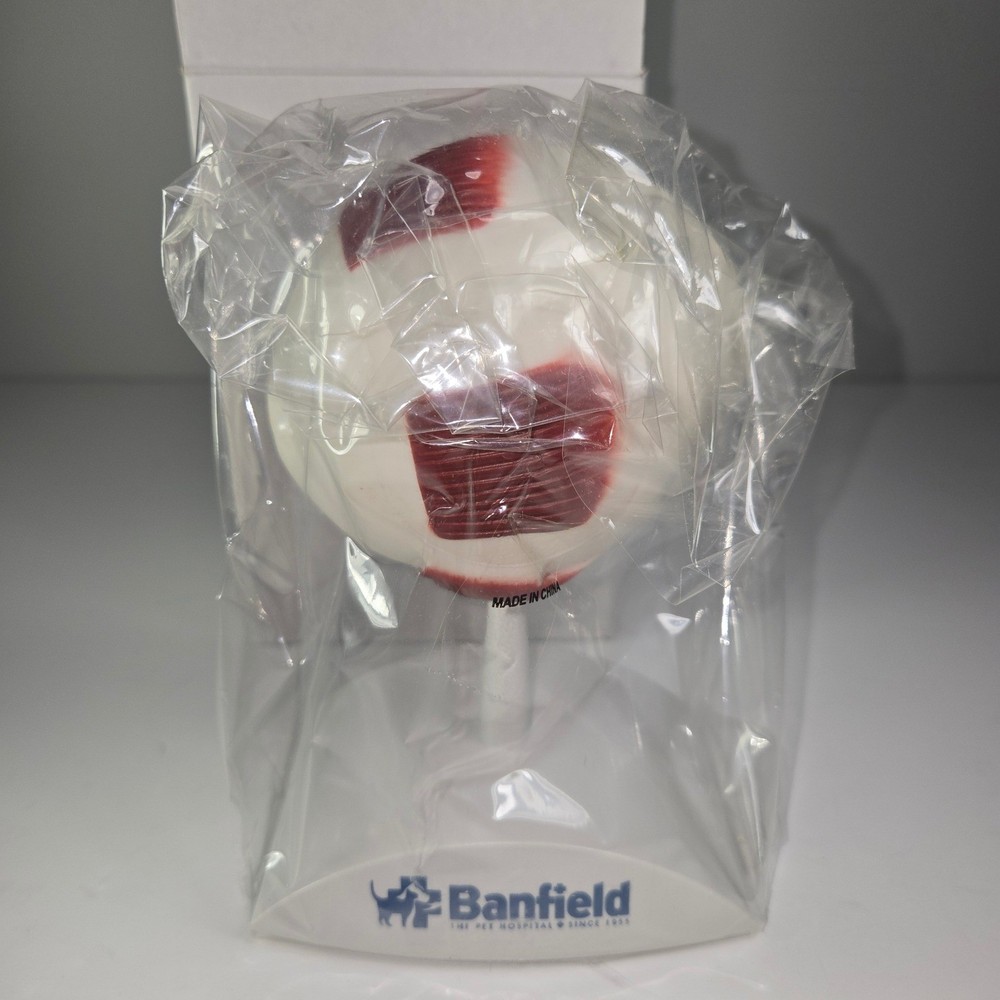 Banfield Eye Anatomy Model Educational Teaching Tool