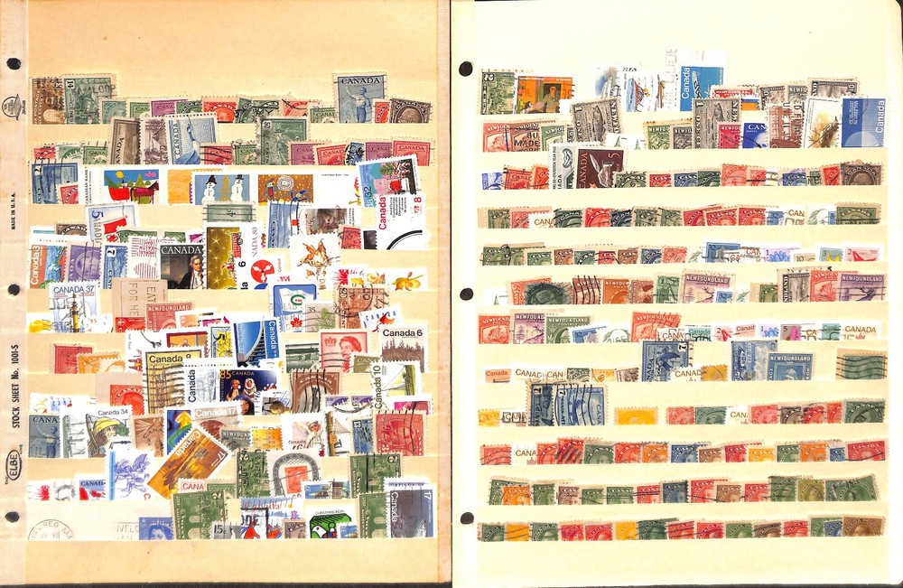 Canada Stamp Collection on 10 Stock Pages, Nice Lot Unchecked (SD)