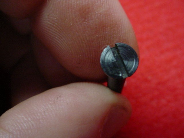 Springfield Hawken-Small Sideplate Screw- Blued - New !!