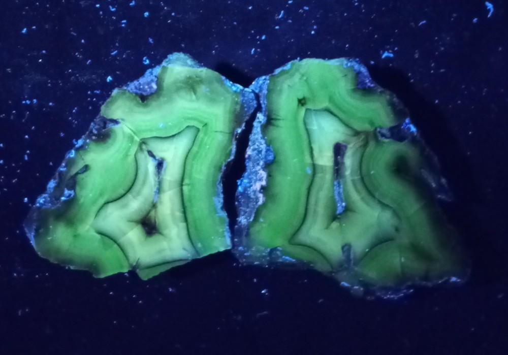 Mirrror Polished White Lace Black Agate Pair Uv Reactive