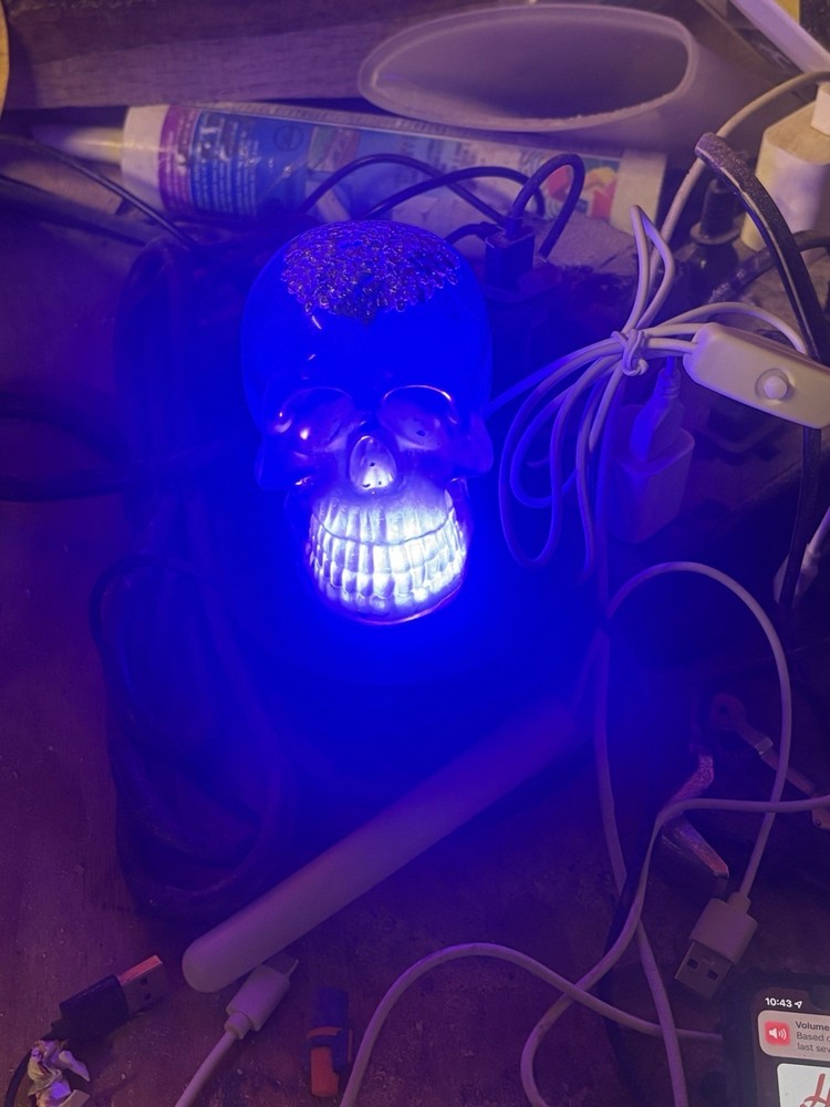 The Locker Mint Color-Changing Skull LED Light with Remote Control
