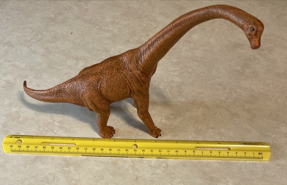 Brachiosaurus 11” Head to Tail Heavy Quality Dinosaur Unbranded
