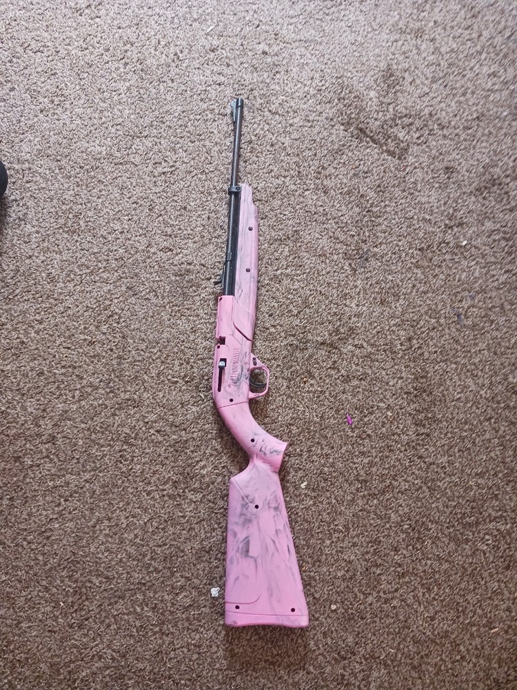 crosman 760 pumpmaster