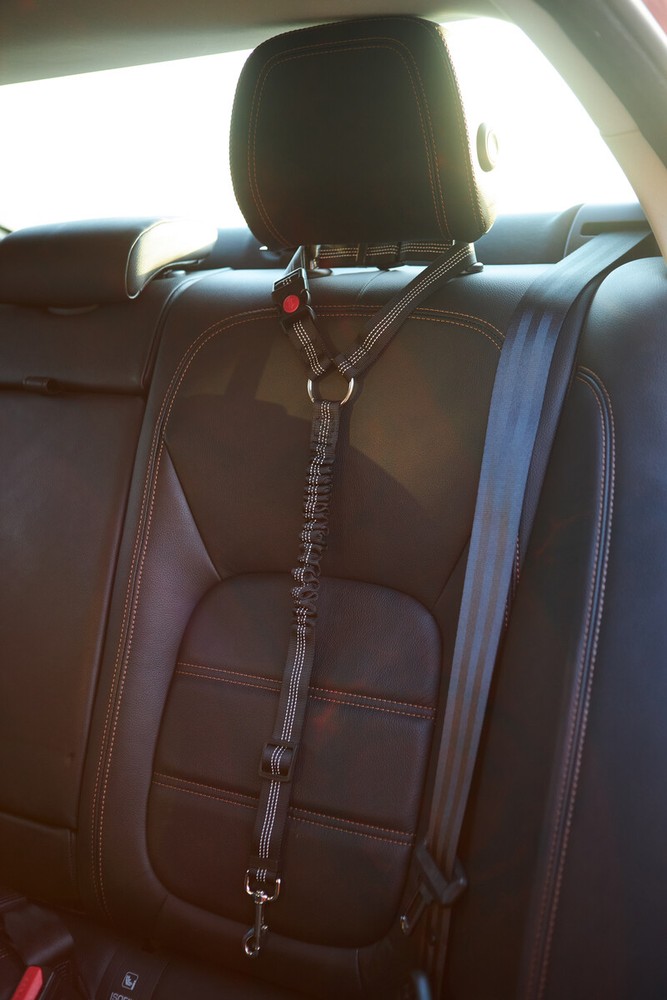 Adjustable Car Dog Leash (BLACK) - Fits any car!