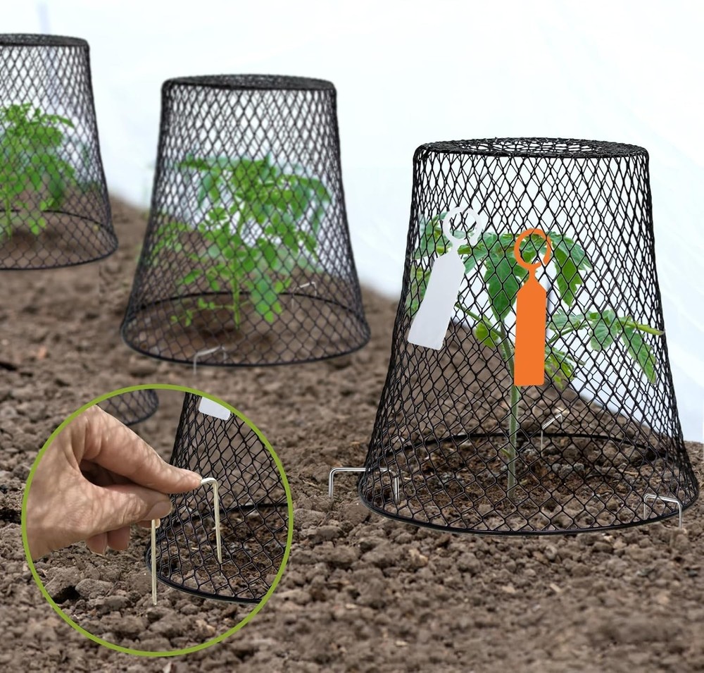 Chicken Wire Garden Cloches x10