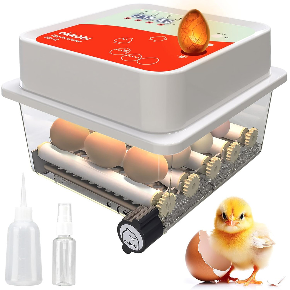 OBI-12 Incubator for Hatching Eggs – 12 Eggs, Easy to Use, Stable Temperature