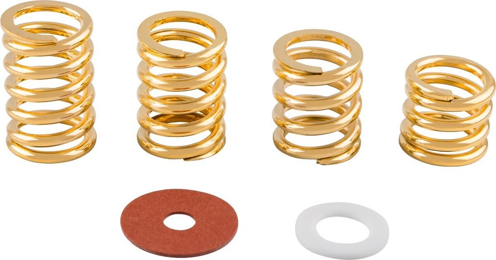 BIGSBY SPRING AND WASHER PACK - GOLD