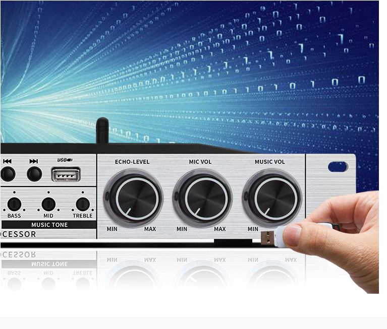 New Karaoke Pre-Effects KTV Professional Digital Audio Echo Effect Processor DSP