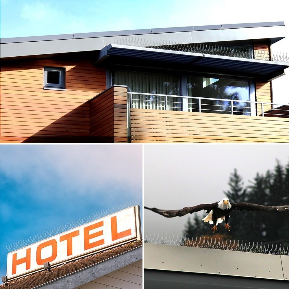 Versatile 10ft Bird Spike System - Corrosion Resistant, Ideal for Any Surface