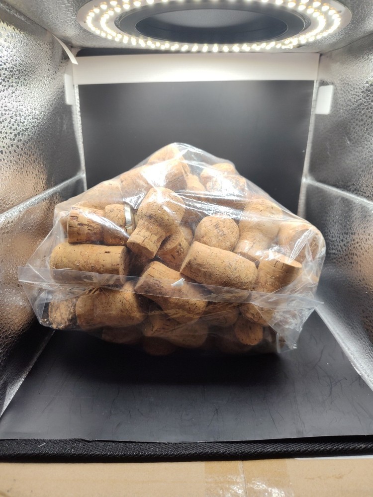 Reclaimed Champagne Bottle Corks For Crafts & Decor