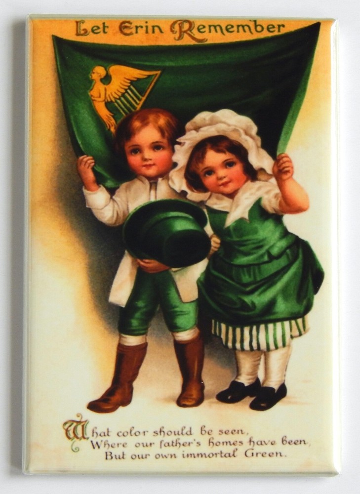 St Patrick's Day FRIDGE MAGNET ireland "style B"