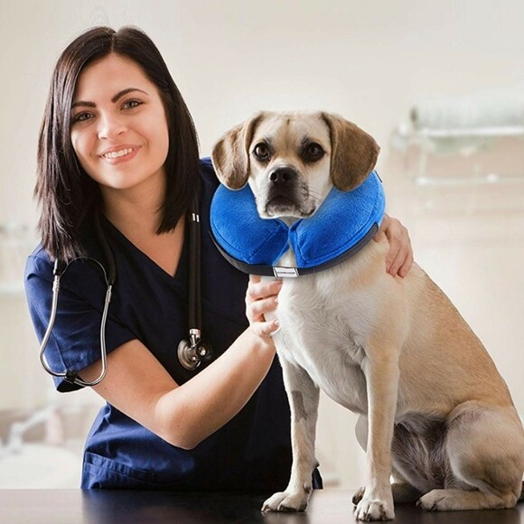 Bencmate Inflatable Dog Collar Large