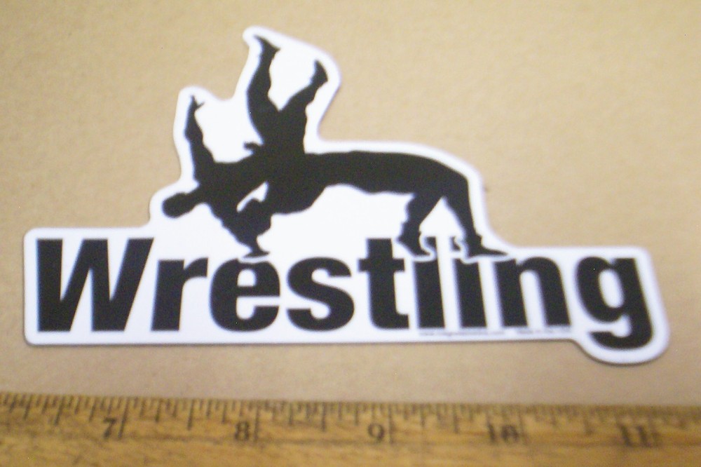 Wrestling Magnet