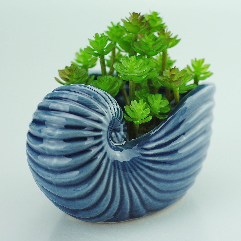 5" Ceramic Succulent Pot - Ocean Blue Seashell Series, Conch Shaped Cactus Pl...
