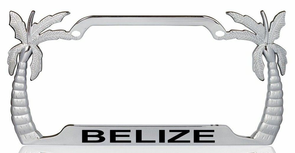 BELIZE Palm Tree Design License Plate Frame-CAN PERSONALIZE