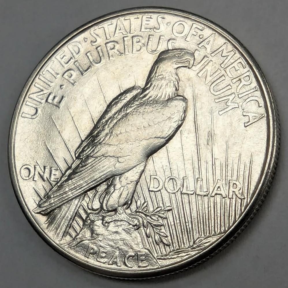 1921 Peace Silver Dollar US Coin - Cleaned