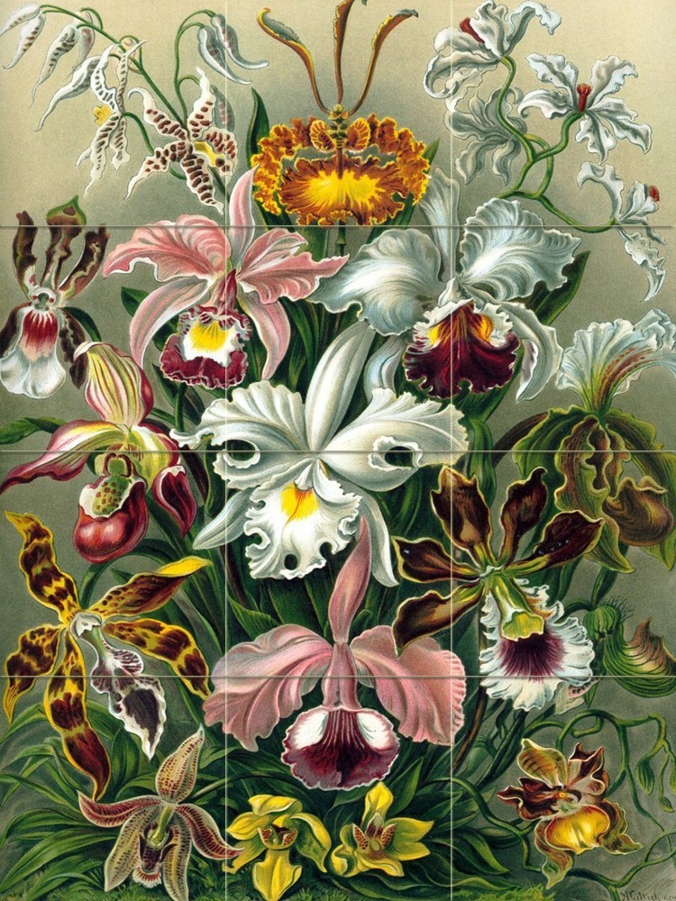Orchids Tile Mural Kitchen Bathroom Wall Backsplash Art 12.75 x 17