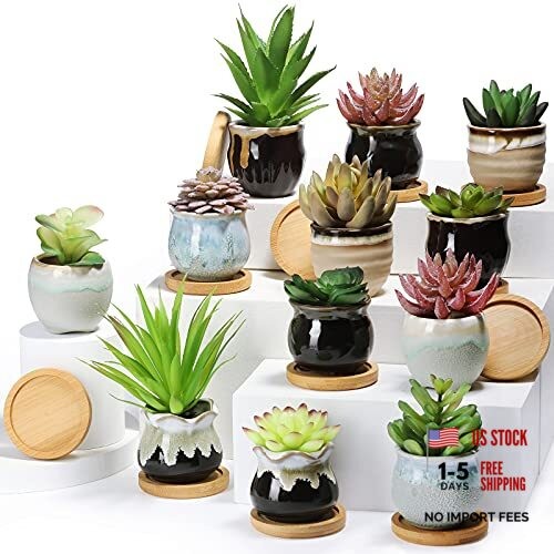 Pcs Small Succulent Pots Bulk with Drainage Assorted 2.5 2.5 x 2.15 inches 12