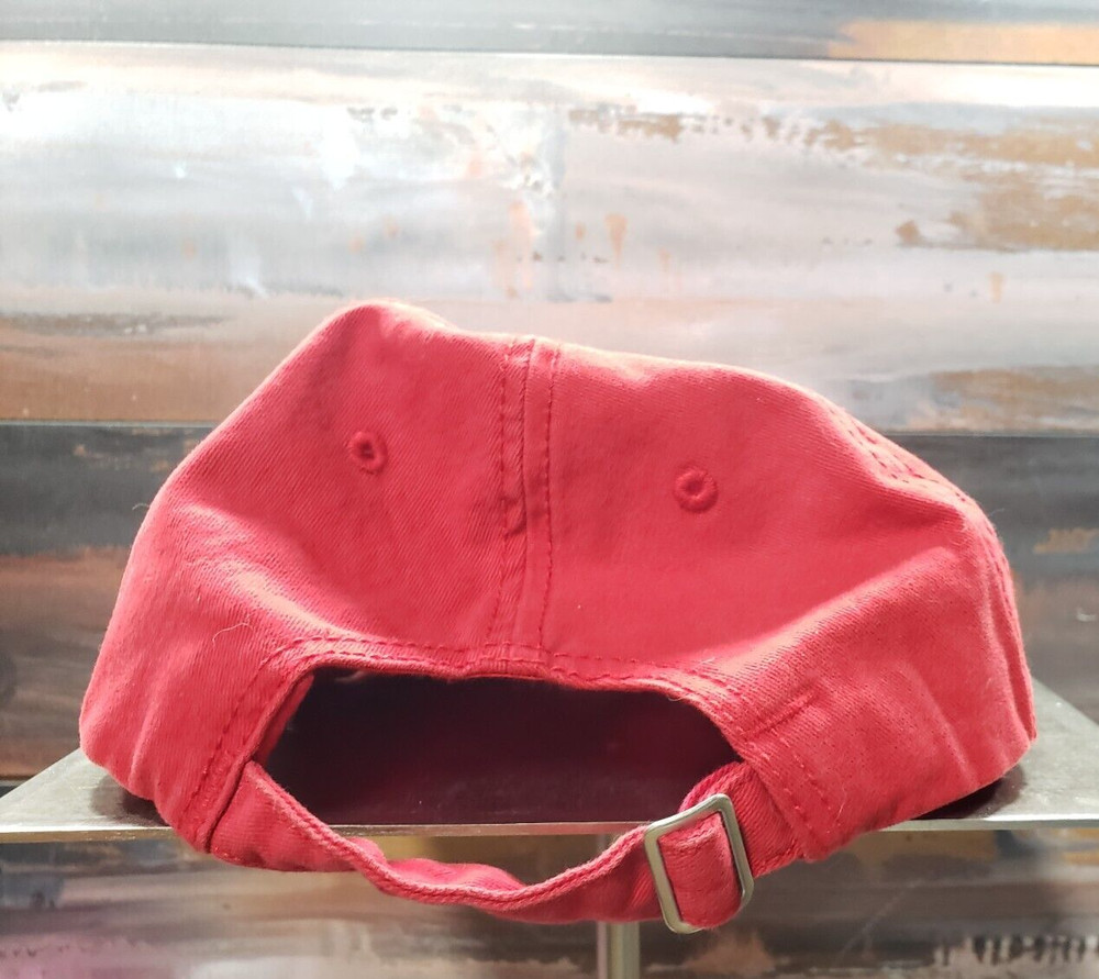 Hare Jordan Bugs Bunny Space Jam Vintage Red Baseball Cap Hat