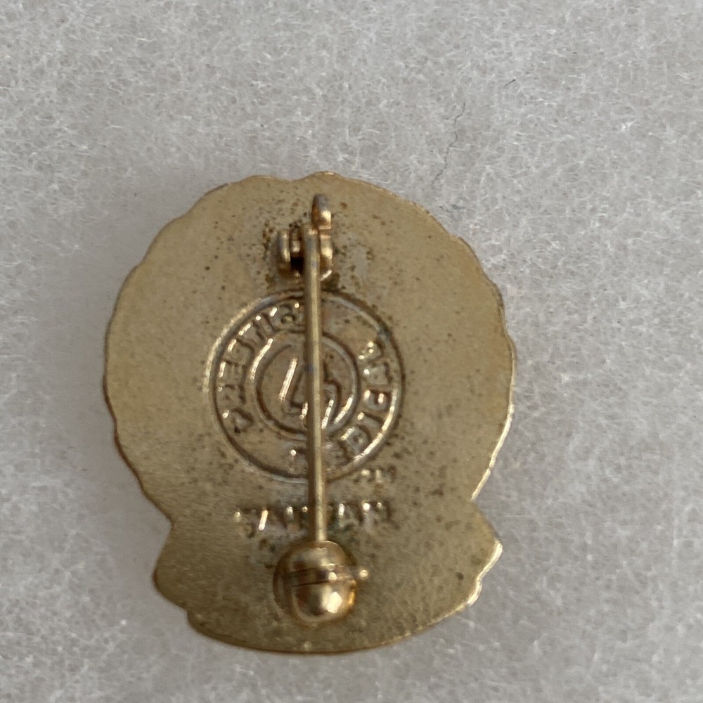 Vintage Certified Nursing Assistant Service Pin- Enameled