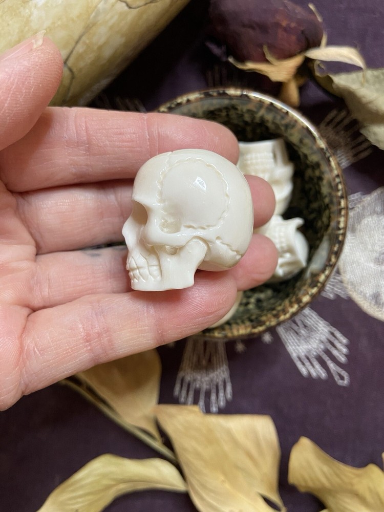 Bovine Bone Skull, Hand Carved Real Bone Skull, Ethically Sourced
