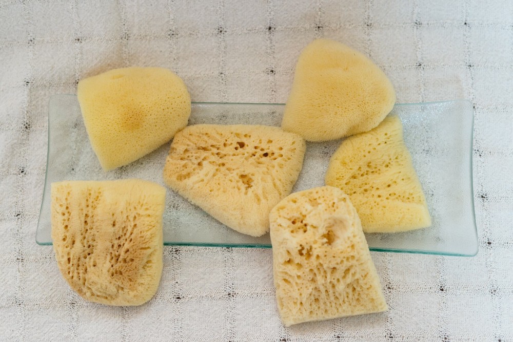 Bleached Elephant Ear Sponges 4"-4 1/2"