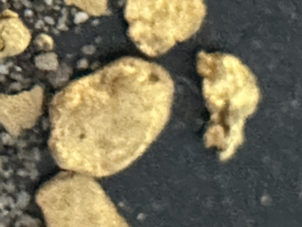 paydirt gold