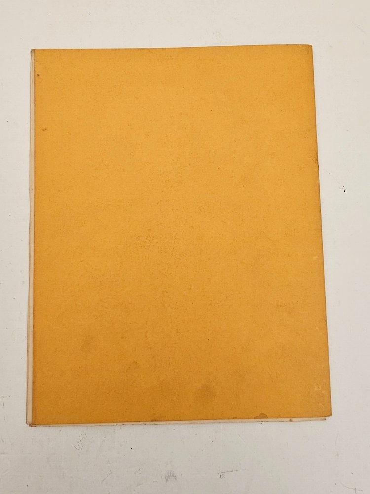 CENTURI PHOENIX VIDEO GAME SERVICE MANUAL WITH SCHEMATICS