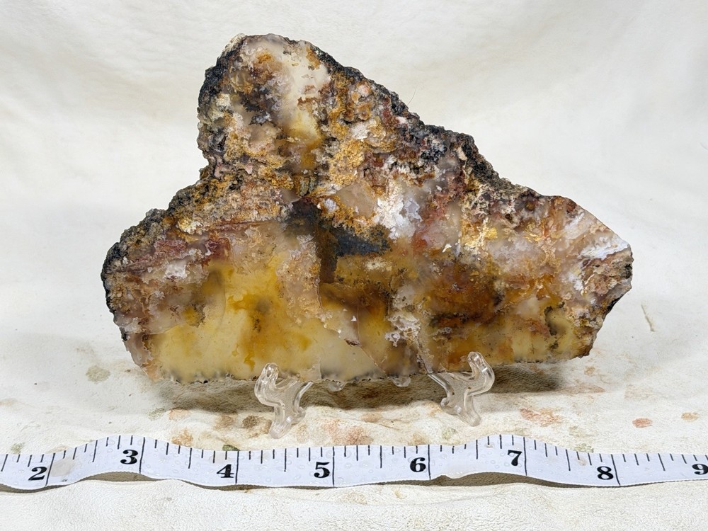 Grave Yard Point Plume Agate Slab, Lot#312