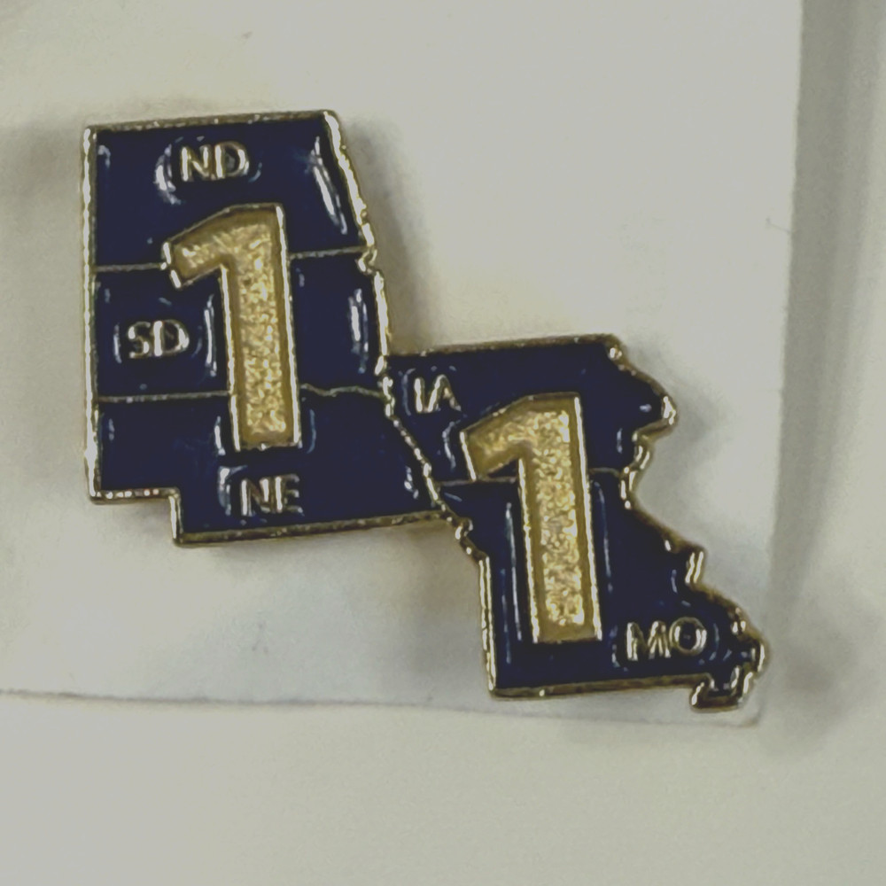 IBEW  District 11 Lapel pin