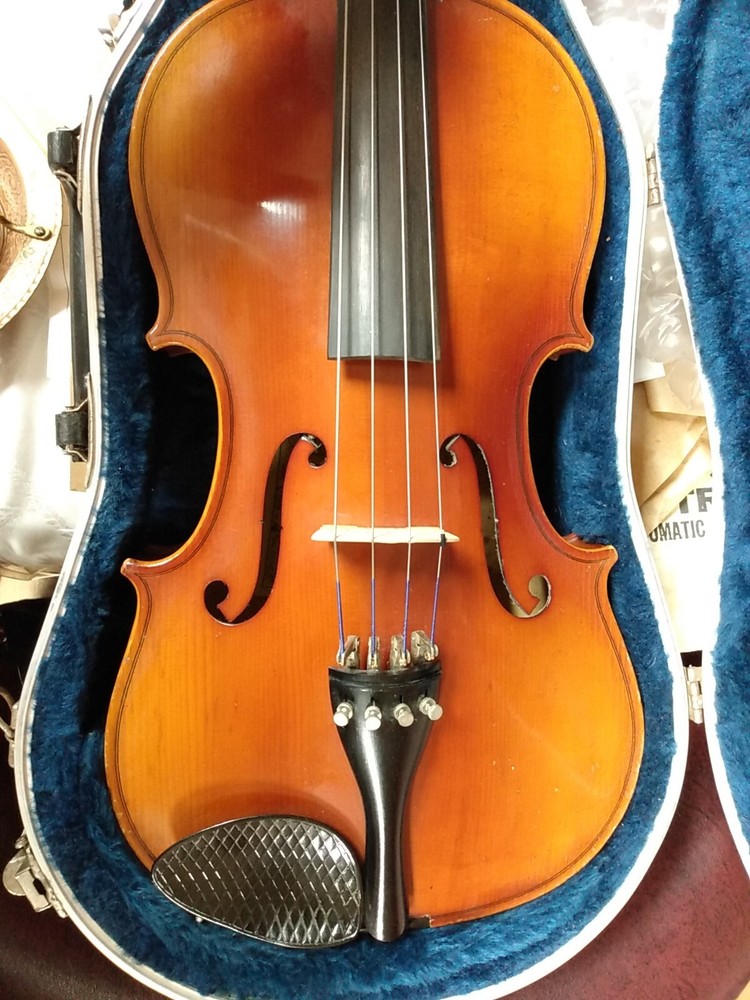 Beautiful Zeswitz Viola