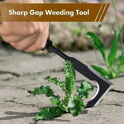 Crack Weeder, Crevice Weeding Sickle Hoe Tool with Beech Handle, Stainless 12"