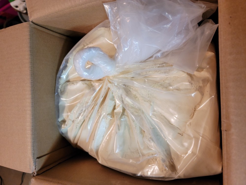Vanilla Extract Powder 10 Kg