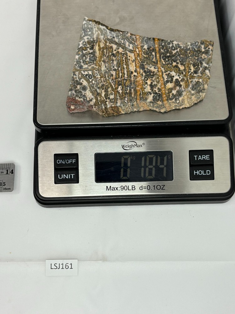 Orbicular Leopard Skin Jasper Slab Lapidary Cabbing Combo Ship Avail