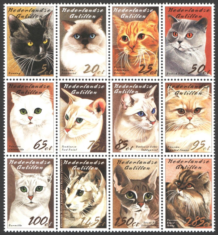 Netherlands Antilles 2003, Cats MNH VF