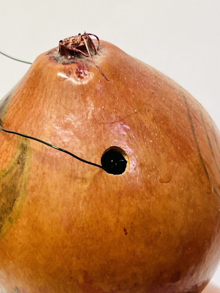 Painted Gourd