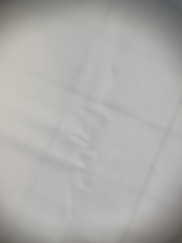 Ernst Leitz Micro Ibso 1/3x microscope attachment and original box