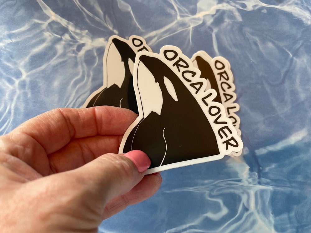 Laptop computer decal or magnet