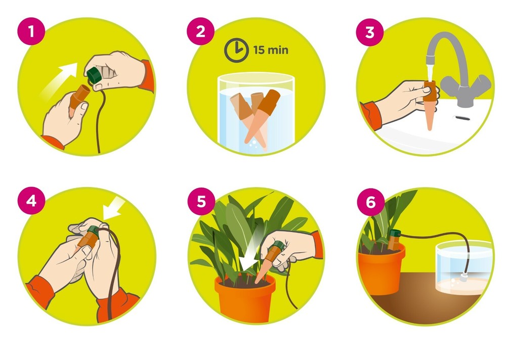 Blumat Classic Watering Plant Pack (6 Stakes) Automatic Drip Watering/Irrigation