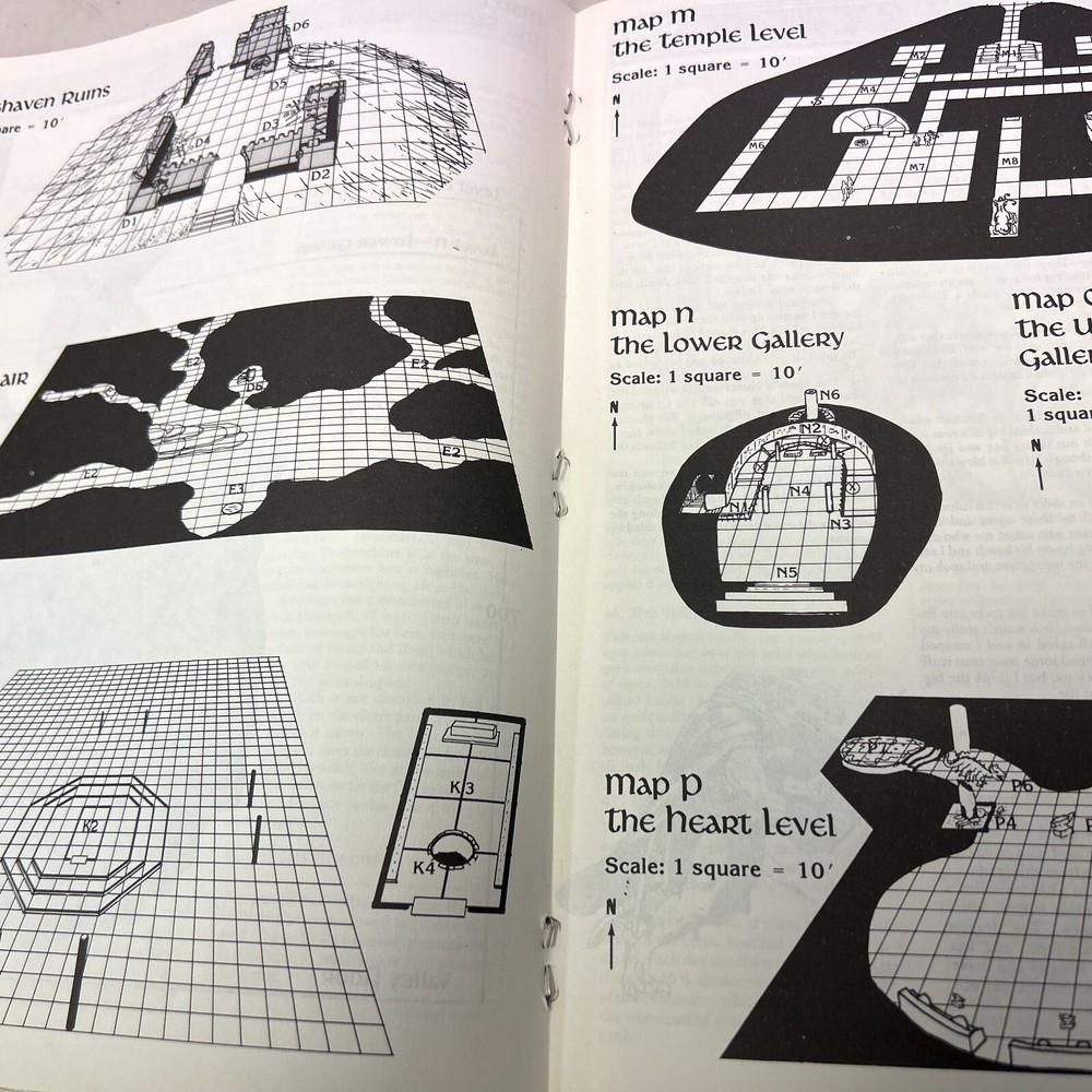 Advanced Dungeons & Dragons Dragons of Light Paperback