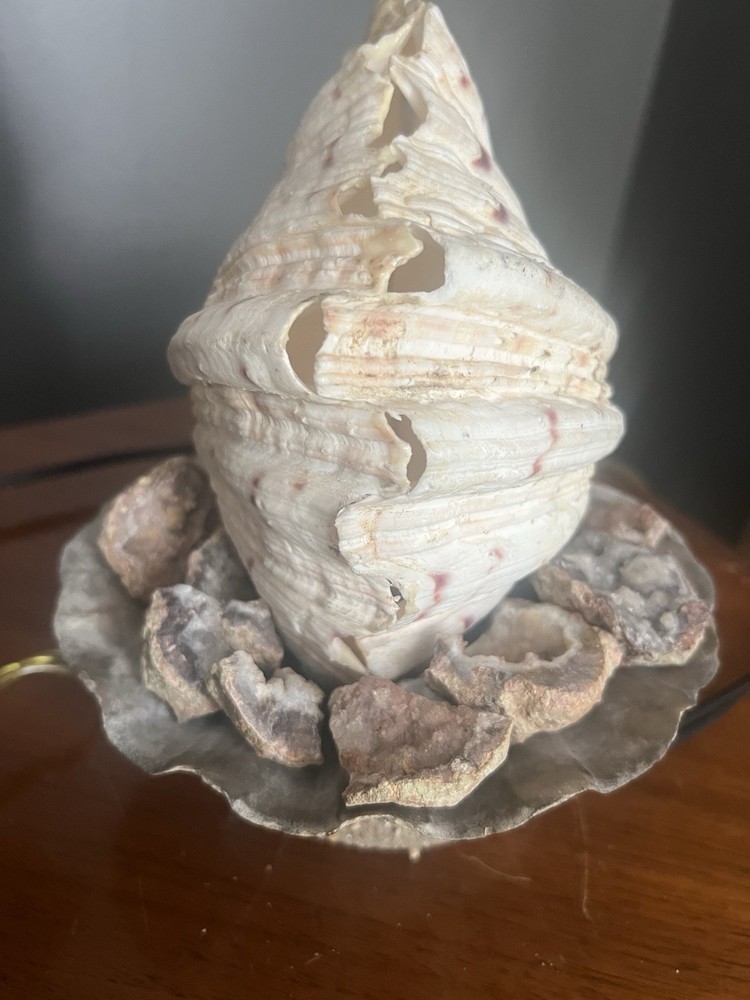 Clam Shell Lamp Accent Night Light